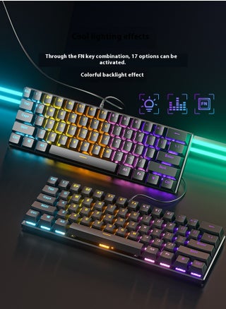 Mechanical Gaming Keyboard, BD61 Compact RGB Backlit Keyboard, Hot-Swappable Switches, USB Wired Connection, 17 Lighting Effects, Esports Keyboard - pzsku/ZBD76BA5C2257202D729EZ/45/_/1739433771/b8ceb1ee-07a6-45b0-9c0d-a9a460a85b8f