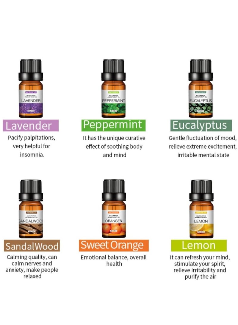 LIMOS Essential Oils Set of 5 – 100% Pure Aromatherapy Oils for Diffuser (Lavender, Peppermint, Tea Tree, Lemongrass, Eucalyptus) – 30ml Each | Natural Relaxation & Home Fragrance Therapy  - Image 2