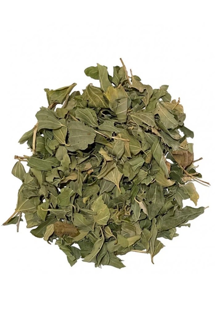 عشبات ورق السدر طبيعي 100% - 250 جرام - Image 2