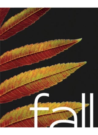 Fall - pzsku/ZBD79FC9968E879D8671DZ/45/_/1727803731/1133449d-afb3-4c2b-82f9-d71d8ebcb1d3