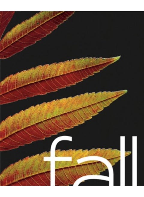 Fall