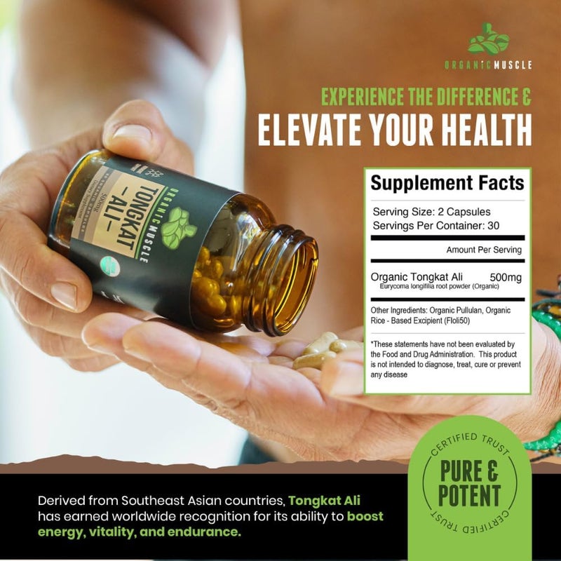 Organic Muscle Tongkat Ali for Men 500mg  Pure  Potent USDA Eurycoma Longifolia Root Supplement 60 Count  Wild Grown Mens Health Hormone Support for Male Performance Drive  Energizer - Image 3