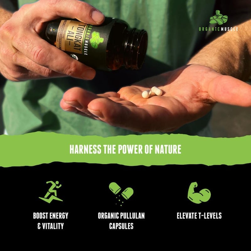 Organic Muscle Tongkat Ali for Men 500mg  Pure  Potent USDA Eurycoma Longifolia Root Supplement 60 Count  Wild Grown Mens Health Hormone Support for Male Performance Drive  Energizer - Image 4