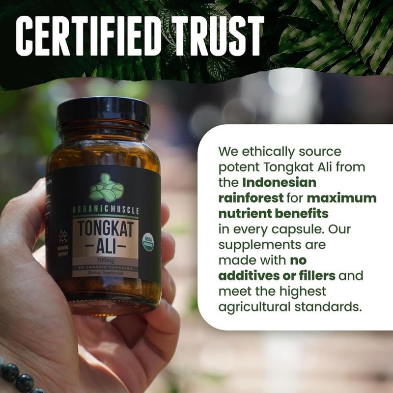 Organic Muscle Tongkat Ali for Men 500mg  Pure  Potent USDA Eurycoma Longifolia Root Supplement 60 Count  Wild Grown Mens Health Hormone Support for Male Performance Drive  Energizer - Image 5