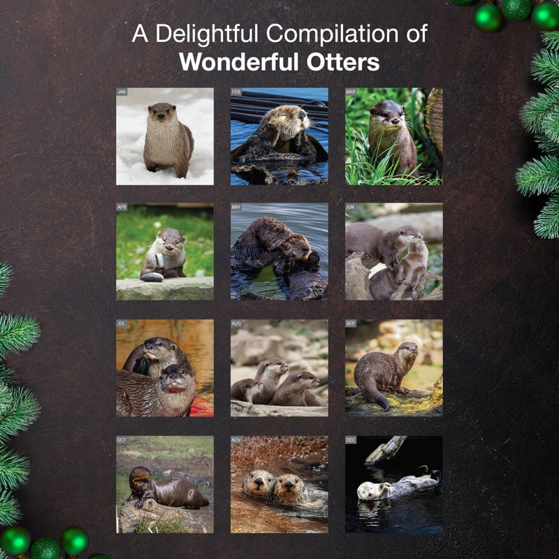 MICASA PRESS Otters 2026 Wall Calendar 12 Month | 12â€ x 24â€ Open | Thick & Sturdy Paper | Holiday Gift | Cute Animal Calendar 2026 - Image 3