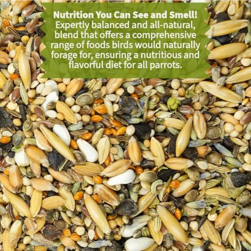 KikiBirds Premium Parrot Food| Protein-Rich Low-Fat Formula | Cockatiel, Conure, Lovebird, Quaker, Parrotlet | No Corn, Soy, Peanuts | Gourmet Whole Grains & Seeds | Daily Maintenance Blend (1 lb) - Image 2