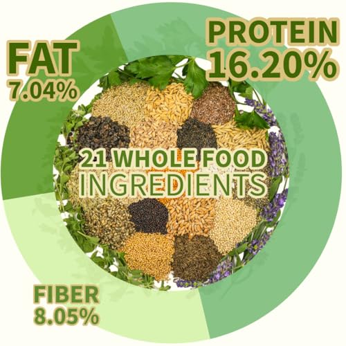 KikiBirds Premium Parrot Food| Protein-Rich Low-Fat Formula | Cockatiel, Conure, Lovebird, Quaker, Parrotlet | No Corn, Soy, Peanuts | Gourmet Whole Grains & Seeds | Daily Maintenance Blend (1 lb) - Image 4