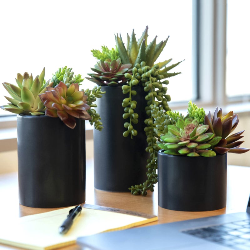 SEEKO Succulents SEEKO Succulents Plants Artificial 3 Pack  Indoor Fake Succulents with Black Pot 