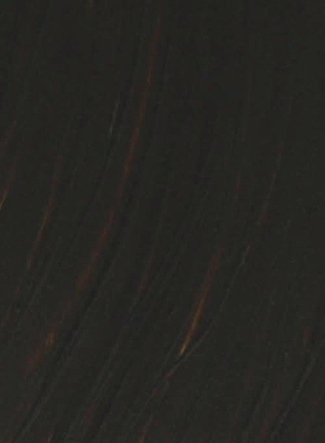 Williamsburg Artist Oil Colors by GOLDEN, Burnt Umber, 150 ml tube, Professional Oil Paint, Semi-Opaque - Image 2