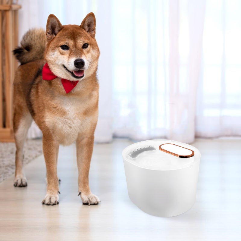 2 Sets of Water Fountain Pet Drinking Fountain Electric Drinking Dispenser Fountain for Cat Dog - Image 3