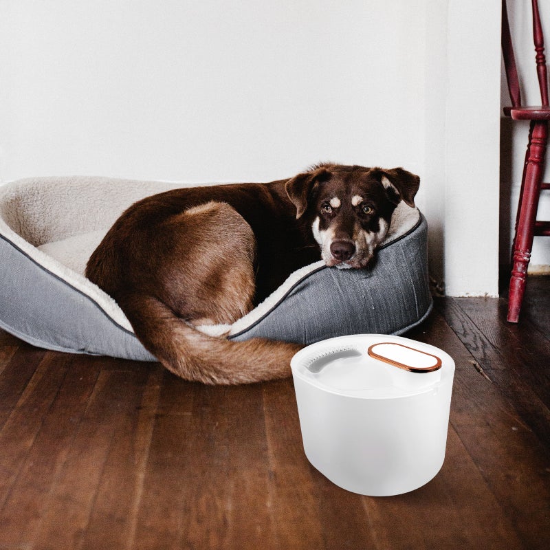 2 Sets of Water Fountain Pet Drinking Fountain Electric Drinking Dispenser Fountain for Cat Dog - Image 4