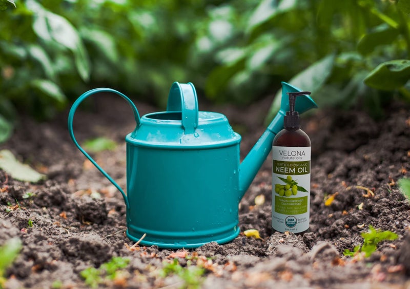 velona Neem Oil USDA Certified Organic - 64 Fl Oz | 100% Pure and Natural Carrier Oil | Virgin, Unrefined, Cold Pressed | Hair, Body and Skin Care | Use Today - Enjoy Results - Image 5