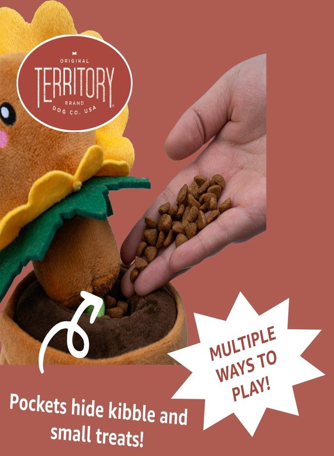 Territory Garden Treat-and-Tug Dog Toy - Interactive Hide-and-Treat Toy with Pockets for Kibble & Treats - Squeaker, Crinkle Sounds, and Tug Play - Image 4