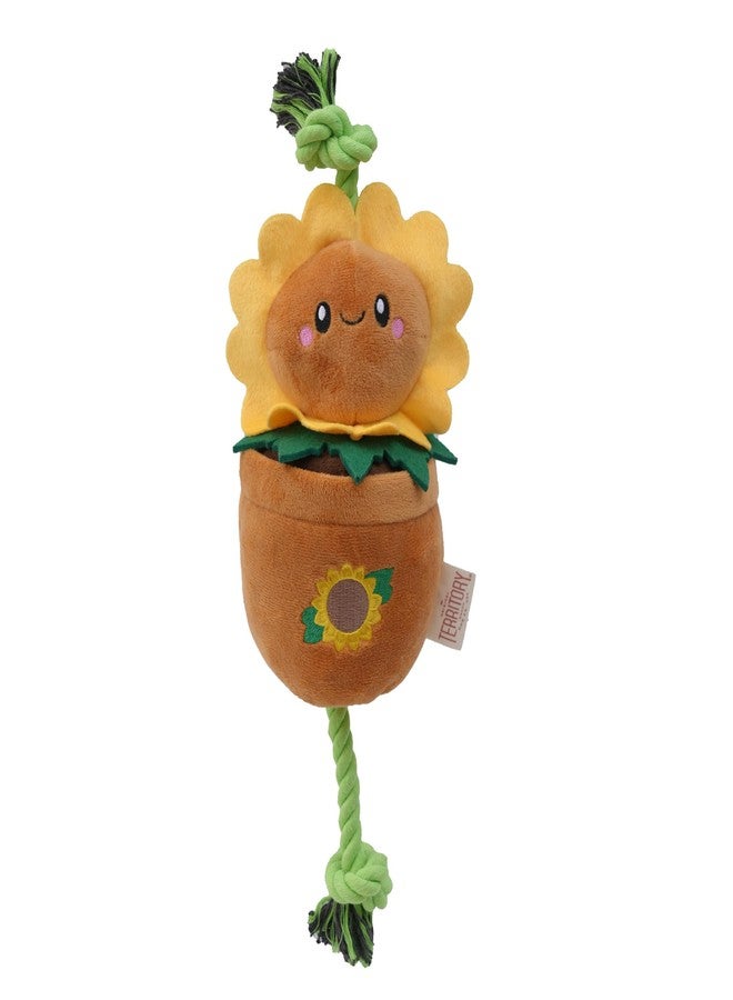 Territory Garden Treat-and-Tug Dog Toy - Interactive Hide-and-Treat Toy with Pockets for Kibble & Treats - Squeaker, Crinkle Sounds, and Tug Play - Image 2