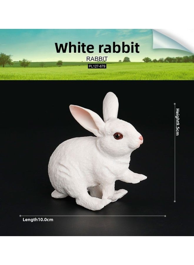 Simulation Animal Model Swan Mouse Rabbit Ostrich Farm Poultry Children's Toy Wild Animal Package