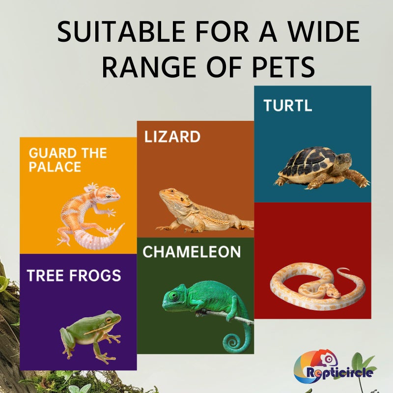 Repticircle Large Rock Cave Hideout for Reptiles & Amphibians - Ideal for Bearded Dragons, Turtles, Snakes, Lizards, Geckos, Tortoises & Small Pets - Terrarium & Aquarium Decor, Safe Reptile Habitat - Image 2