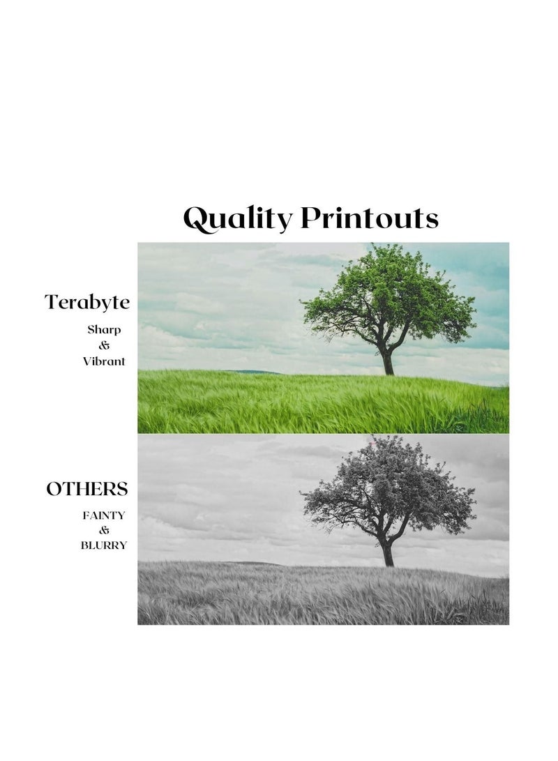 Terabyte 1810(10K) COMPATIBLE TONER TERABYTE - Image 2