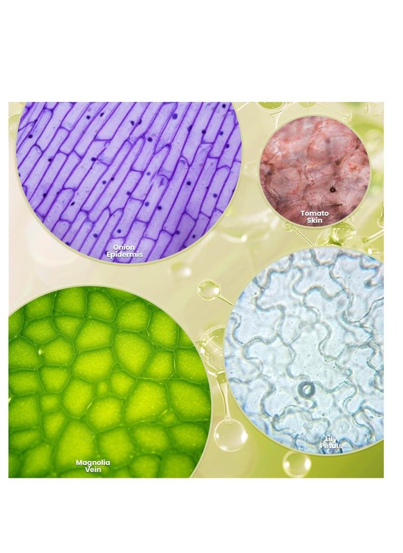 Microscope for Kids, Kids Beginner Handheld Microscope Science Kit, with 60X-120X Microscope  12 Slides, Science Experiments Kit STEM Project Toy, for for Kids Boys Girls - Image 5