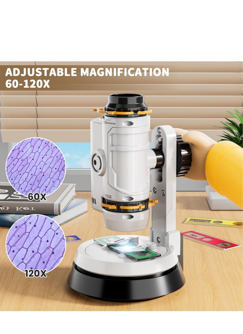 Microscope for Kids, Kids Beginner Handheld Microscope Science Kit, with 60X-120X Microscope  12 Slides, Science Experiments Kit STEM Project Toy, for for Kids Boys Girls - Image 4