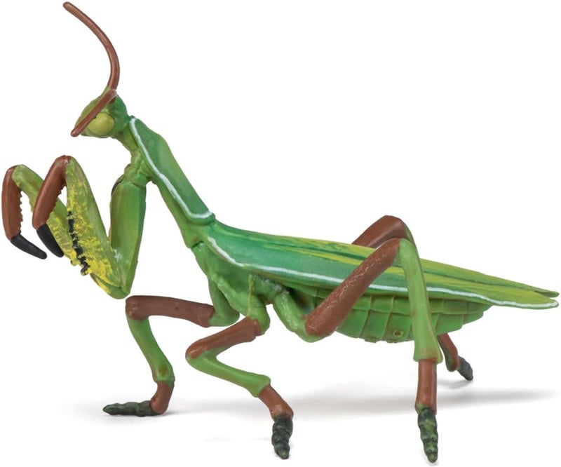 Papo HandPainted Figurine Wild Animal Kingdom Praying Mantis 50244 Collectible for Children Suitable for Boys and Girls from 3 Years Old - Image 4