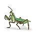 Papo HandPainted Figurine Wild Animal Kingdom Praying Mantis 50244 Collectible for Children Suitable for Boys and Girls from 3 Years Old - Image 3