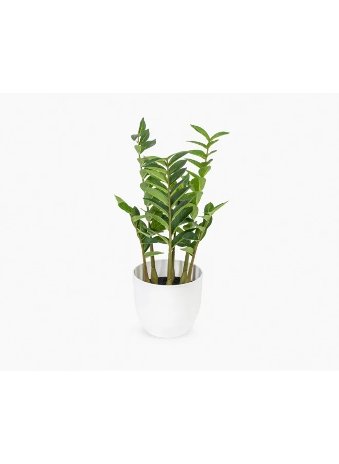 تو إكس إل هوم Zamioculcas Zamiifolia Plant