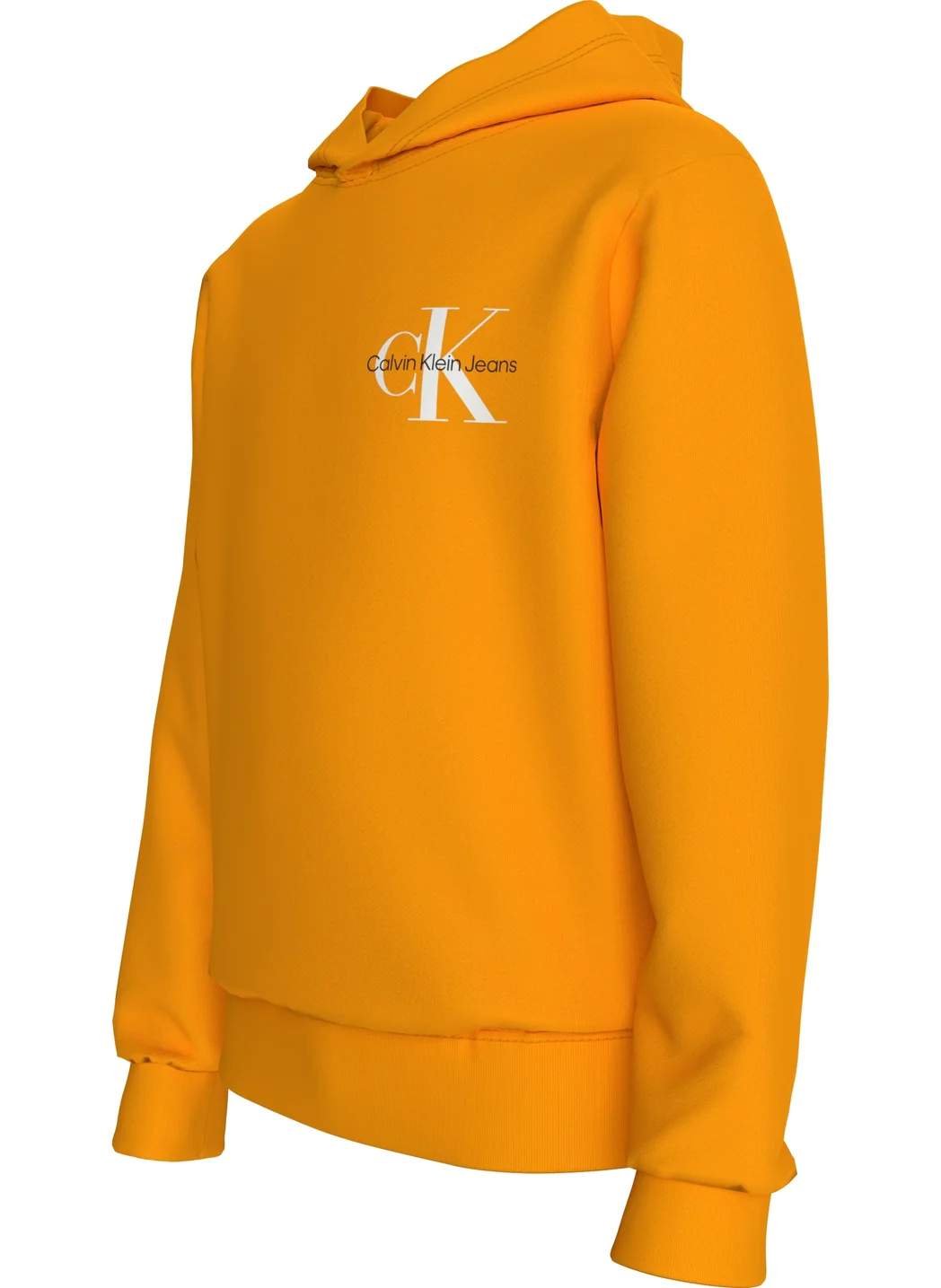 Calvin Klein Jeans Youth  Logo Hoodie