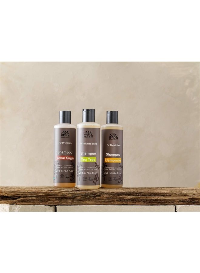 URTEKRAM Blonde Hair Camomile Shampoo, 250 ML - Image 2