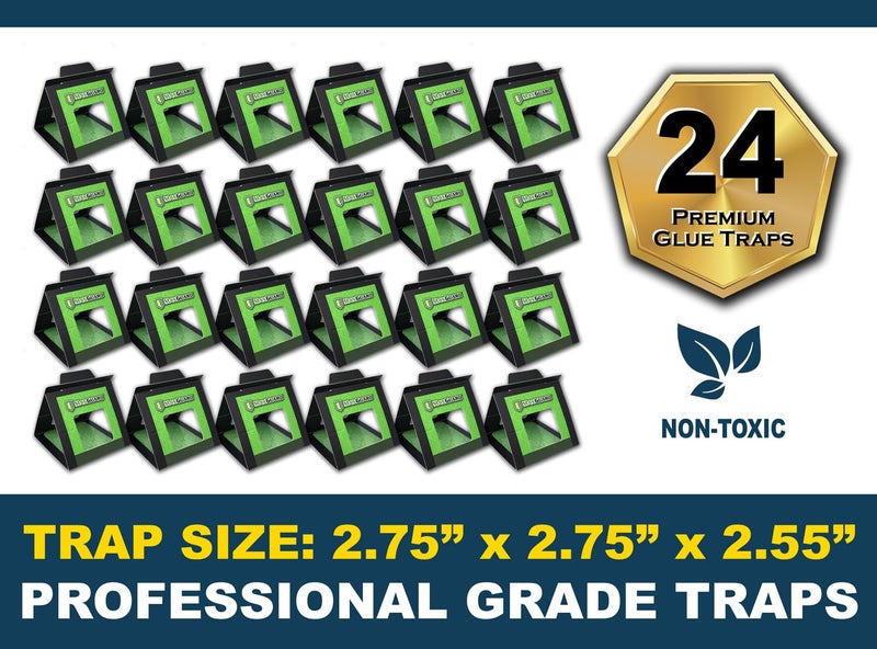 MaxGuard Bed Bug Traps (24 Traps) Non-Toxic Bed Bug Detection Traps. Detects, Traps, and Kills Bed Bugs and Crawling Insects Such as Spiders, Crickets, Cockroaches and Ants - Image 3