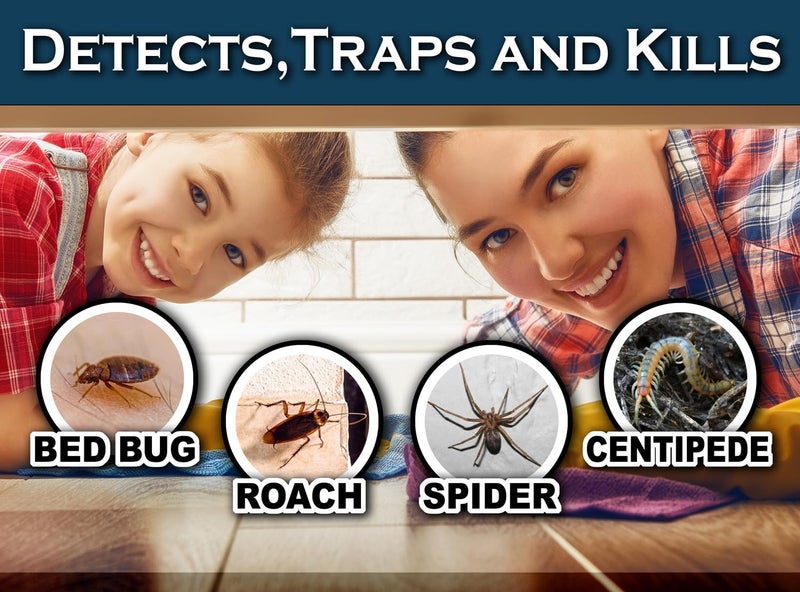 MaxGuard Bed Bug Traps (24 Traps) Non-Toxic Bed Bug Detection Traps. Detects, Traps, and Kills Bed Bugs and Crawling Insects Such as Spiders, Crickets, Cockroaches and Ants - Image 4