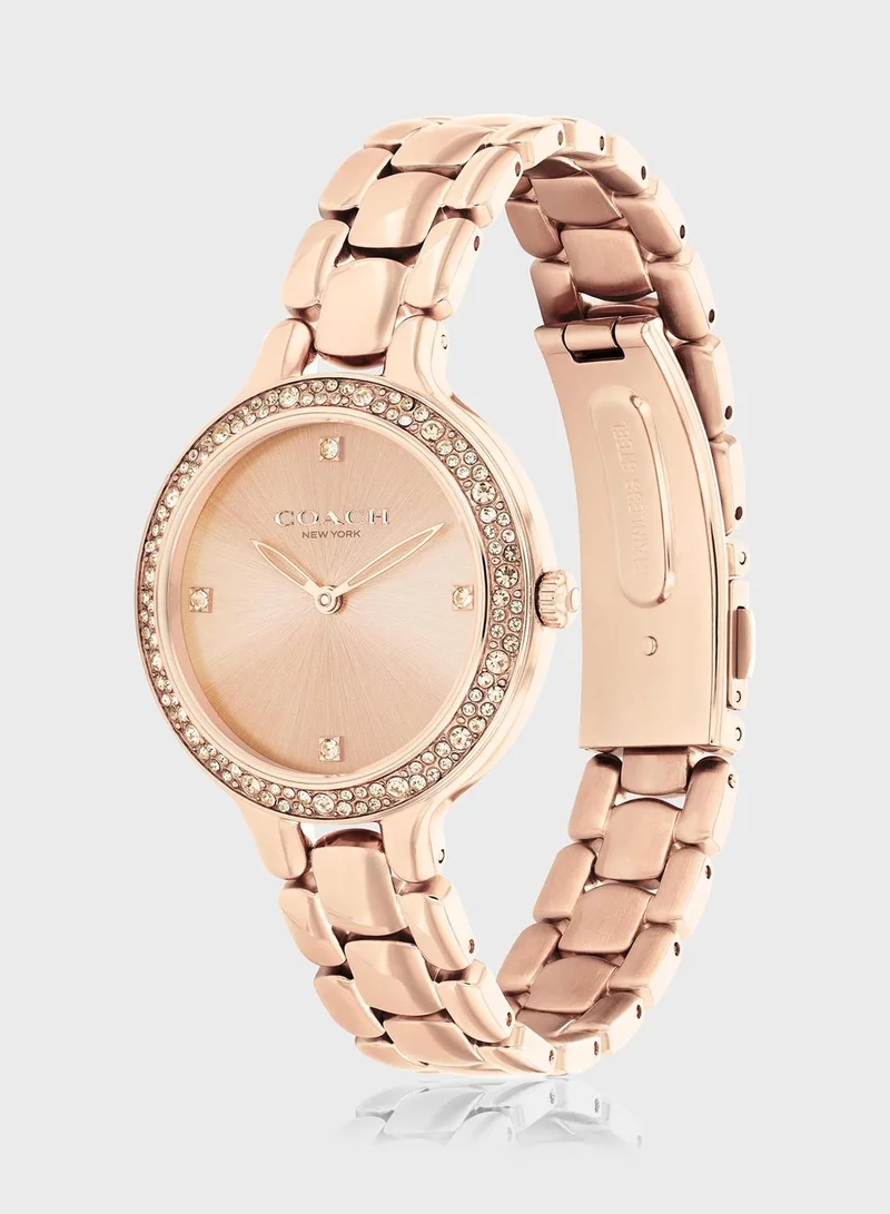 COACH Chelsea Ionic Plated Analog Watch