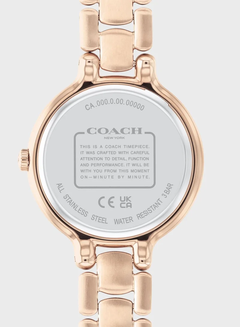 COACH Chelsea Ionic Plated Analog Watch
