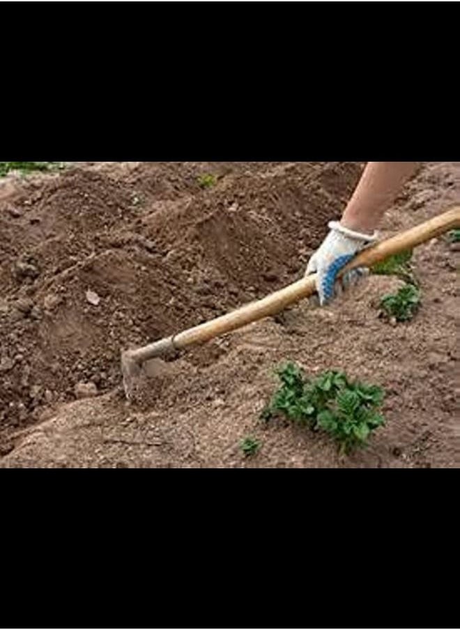 ABBASALI Hoe with Handle Made In India  - Image 3