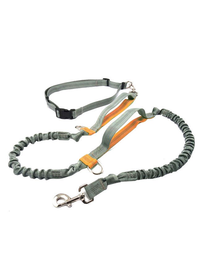 NIBEMINENT Pet Retractable Walking Leash With Waist Belt Orange/Grey