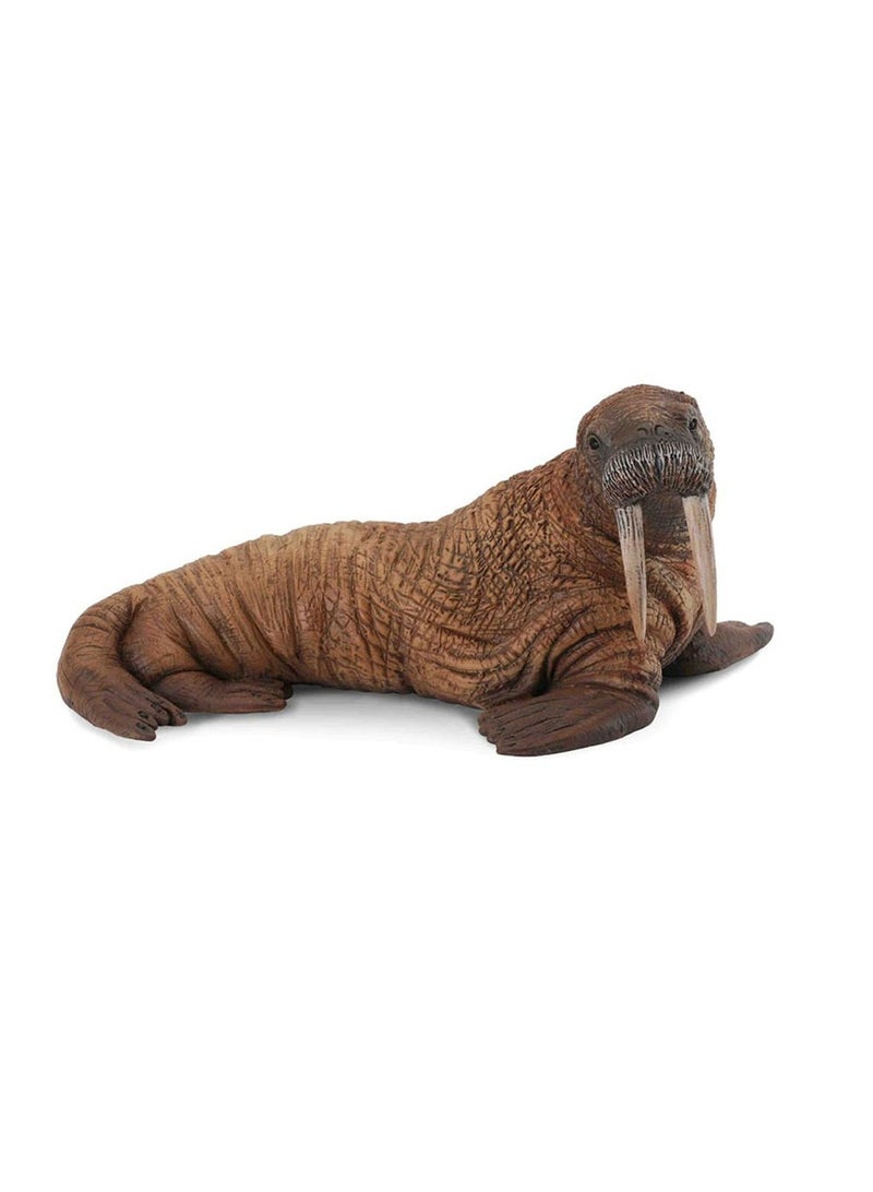 Collecta - Walrus - 88569