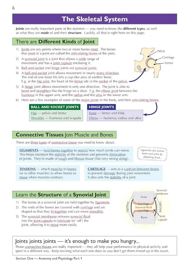 null - Grade 9-1 GCSE Physical Education OCR Complete Revision & Practice (with Online Edition) - Image 1