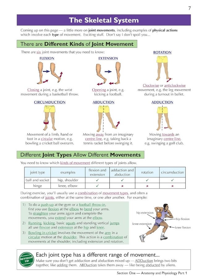 null - Grade 9-1 GCSE Physical Education OCR Complete Revision & Practice (with Online Edition) - Image 1