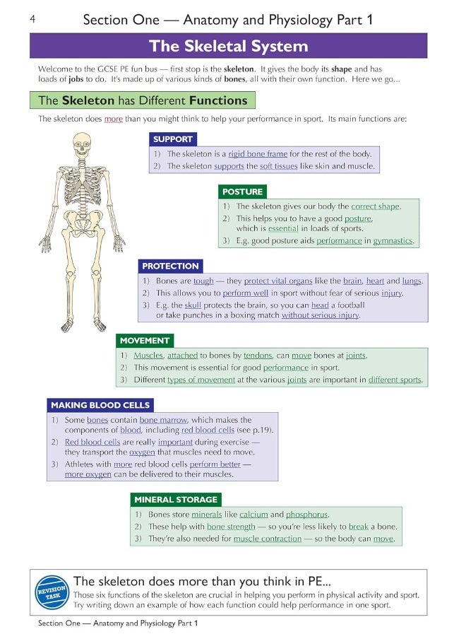 Grade 9-1 GCSE Physical Education OCR Complete Revision & Practice (with Online Edition)  - Image 5
