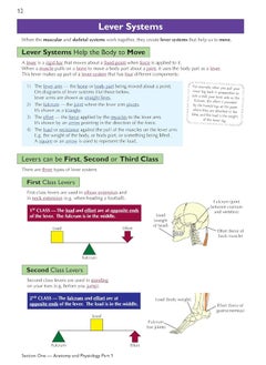 Grade 9-1 GCSE Physical Education OCR Complete Revision & Practice (with Online Edition)  - Image 2