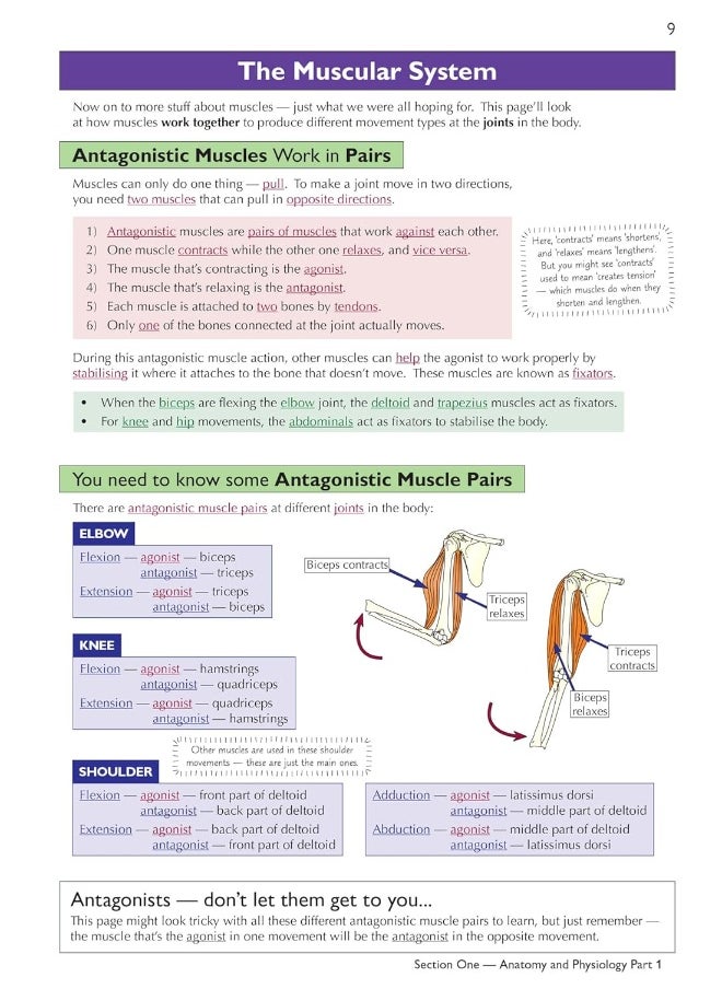 null - Grade 9-1 GCSE Physical Education OCR Complete Revision & Practice (with Online Edition) - Image 1