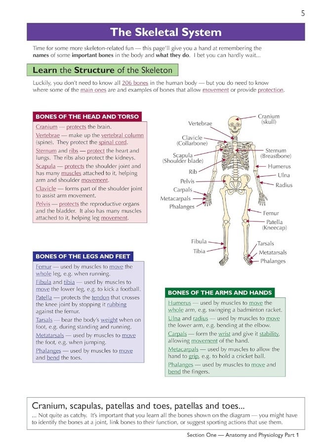 null - Grade 9-1 GCSE Physical Education OCR Complete Revision & Practice (with Online Edition) - Image 1