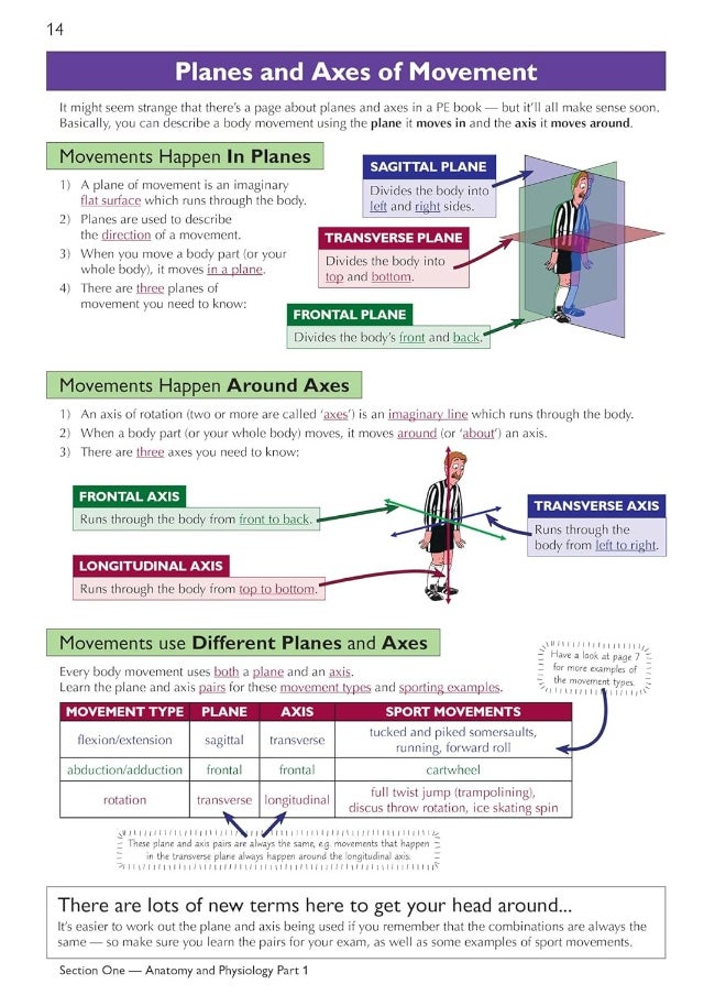 null - Grade 9-1 GCSE Physical Education OCR Complete Revision & Practice (with Online Edition) - Image 1