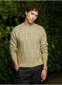 Campus Sutra Men's Dark Khaki Beige Twist-Knit Pullover Sweater  - Image 2