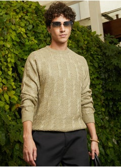 Campus Sutra Men's Dark Khaki Beige Twist-Knit Pullover Sweater  - Image 1