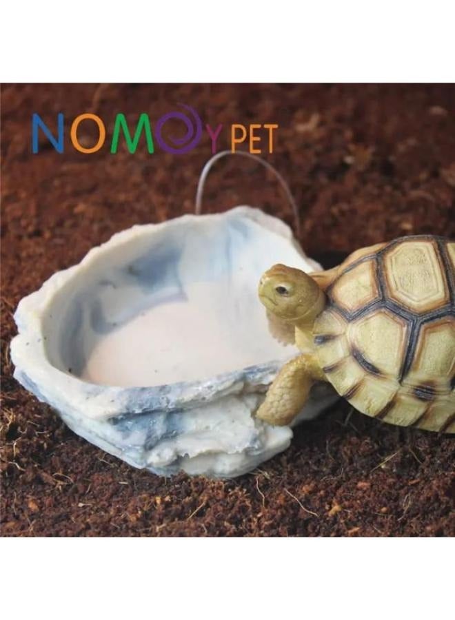 وعاء طبيعي للزواحف والبرمائيات والزواحف والسلحفاة والثعبان والسحلية والوزغة والعناكب والضفدع 9 × 7 × 2.5 سم - Image 4