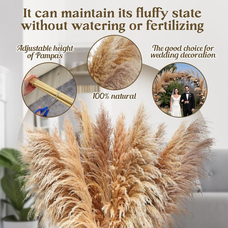 Pasuvsigt 40" inch 12 pcs Natural Pampas Grass Decor Tall,Boho Home Decor,Pompas Grass,Dried Tall Pampas Grass for Wedding Floral Arrangements,Farmhouse,Party,Farmhouse,Wall,Bedroom Decor - Image 5