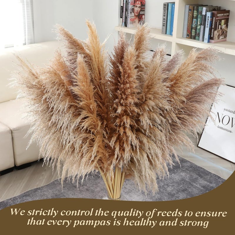 Pasuvsigt 40" inch 12 pcs Natural Pampas Grass Decor Tall,Boho Home Decor,Pompas Grass,Dried Tall Pampas Grass for Wedding Floral Arrangements,Farmhouse,Party,Farmhouse,Wall,Bedroom Decor - Image 3