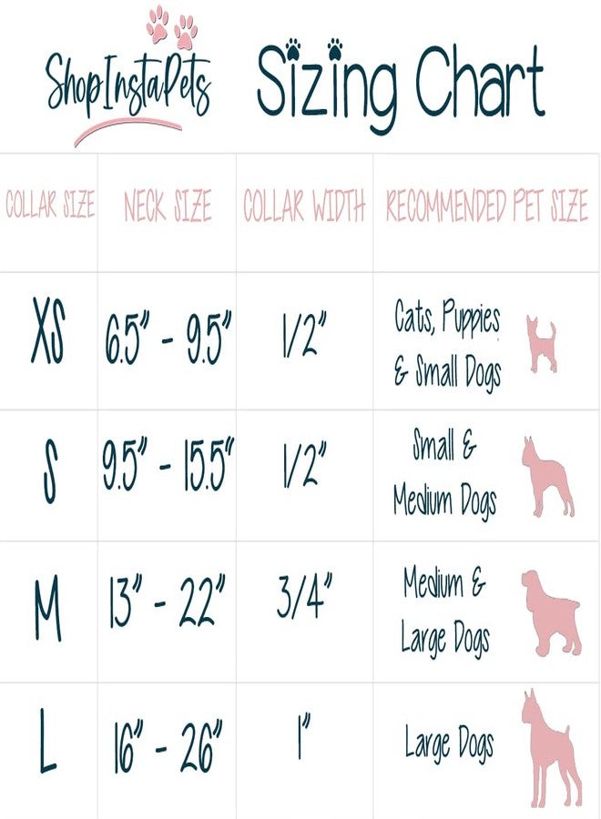 ShopInstaPets Wisconsin Badgers Collars and Leashes | Officially Licensed | Fits All Pets! (Medium Collar) - Image 2