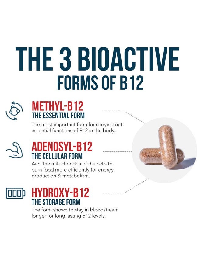 BioActive Vitamin B12 - 5000 mcg, Contains 3 BioActive B12 Forms Plus Methylfolate Cofactor - Methyl B12, Adenosyl B12 & Hydroxy B12 | Supports Energy, Metabolism & Mood | Vegan, Non-GMO (60 Servings)