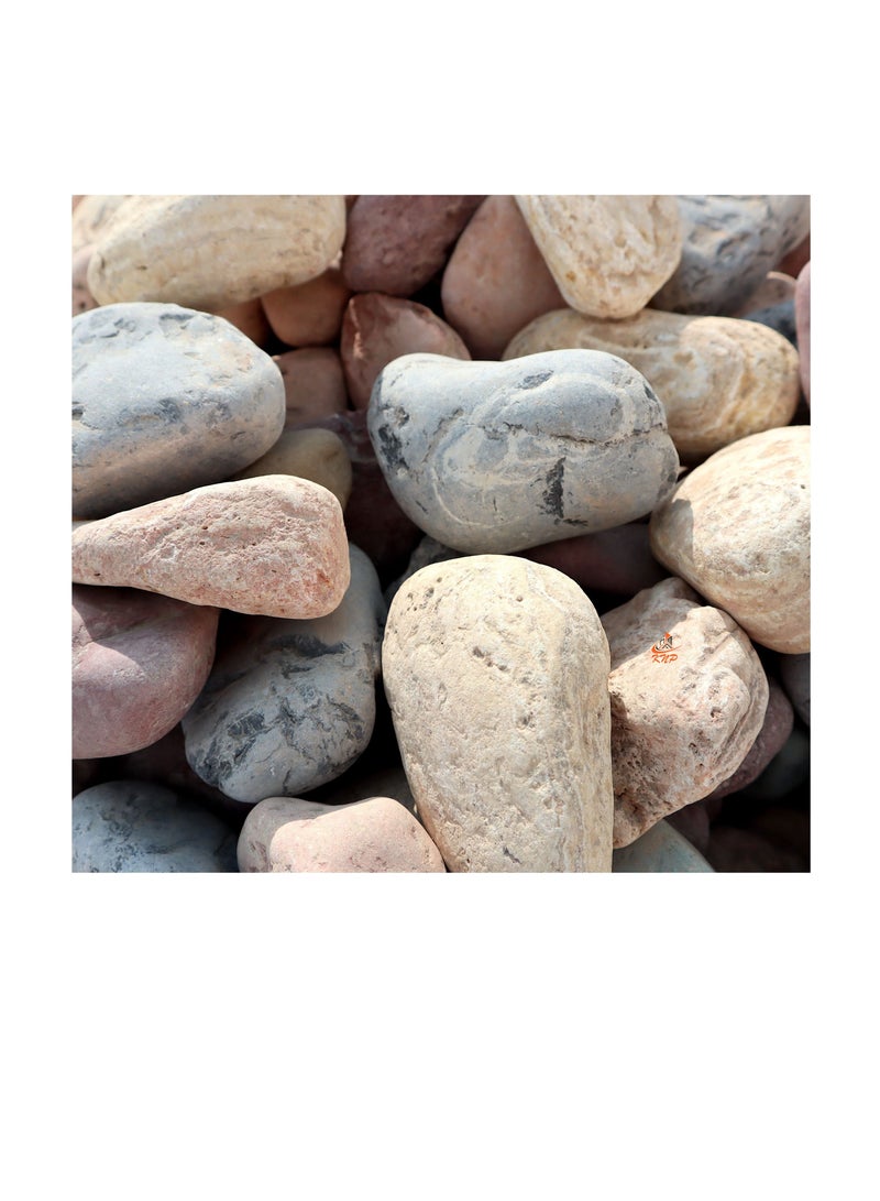 KNP Mix Color River stone Natural Garden Material  5-8 CM 20KG - Image 2